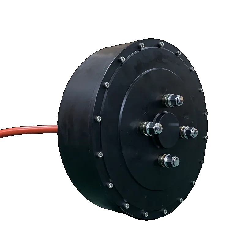 QS 273 8000W 72V 50H V3 Single - Qs Motor 273 8000W Hub Motor 评论和价格